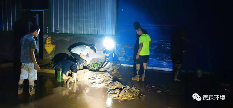 金莎9001zz以诚为本环境自救