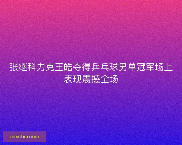 张继科力克王皓夺得乒乓球男单冠军场上表现震撼全场