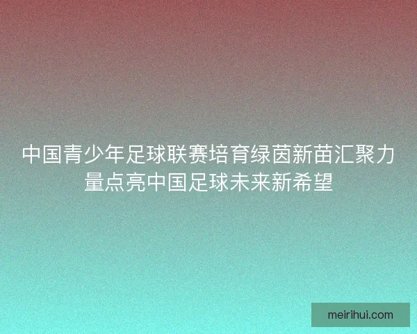 中国青少年足球联赛培育绿茵新苗汇聚力量点亮中国足球未来新希望